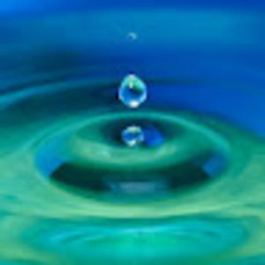 Meet your Posher, Madeline